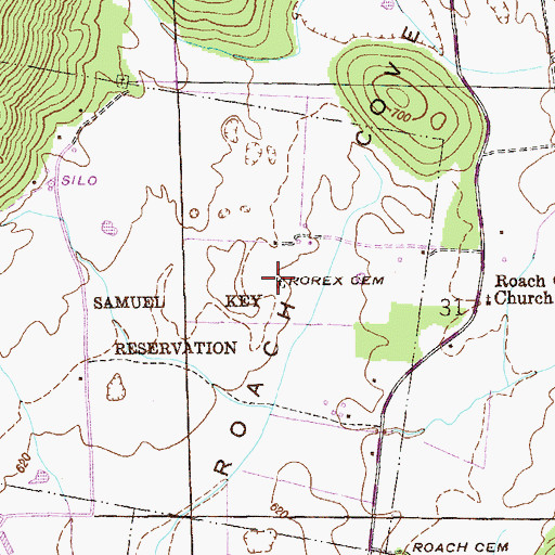 Topographic Map of Rorex Cemetery, AL
