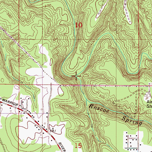 Topographic Map of Roscoe Spring Branch, AL