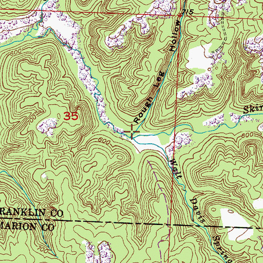 Topographic Map of Rough Leg Hollow, AL