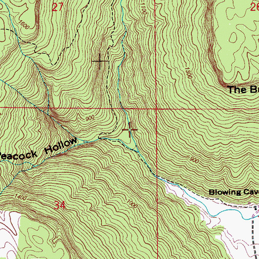 Topographic Map of Round Cove, AL