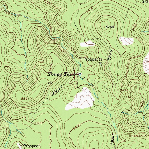 Topographic Map of Toney Tank, AZ