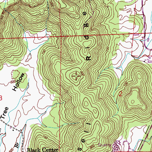 Topographic Map of Russell Ridge, AL
