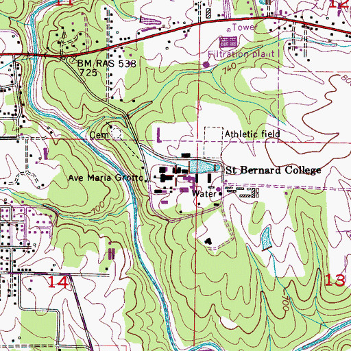 Topographic Map of Saint Bernard College, AL
