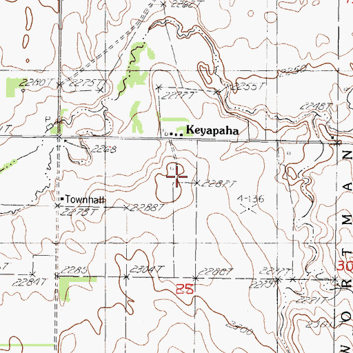 Topographic Map of Keyapaha, SD