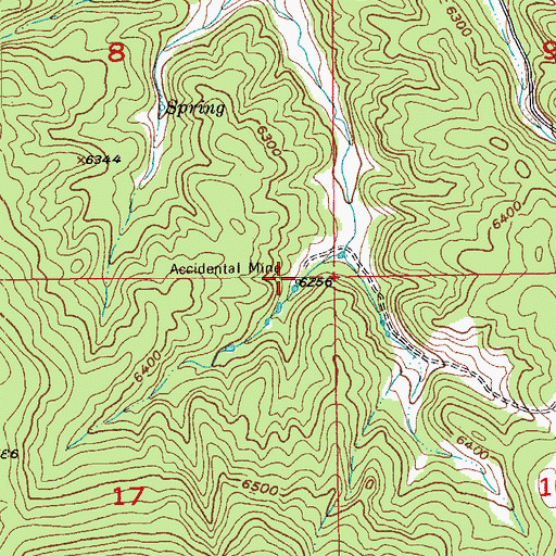 Topographic Map of Accidental Mine, SD