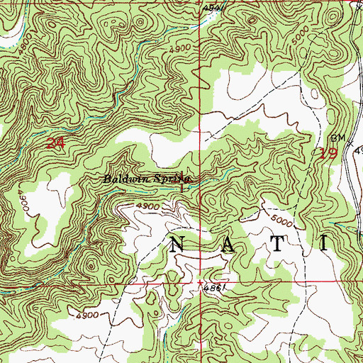 Topographic Map of Baldwin Spring, SD