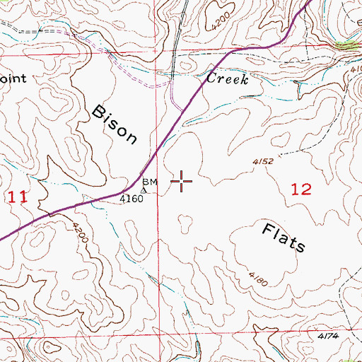 Topographic Map of Bison Flats, SD