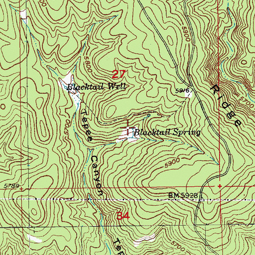 Topographic Map of Blacktail Spring, SD