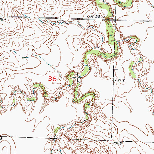 Topographic Map of Brady Creek, SD