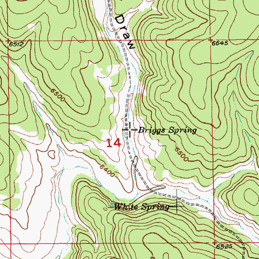 Topographic Map of Briggs Spring, SD