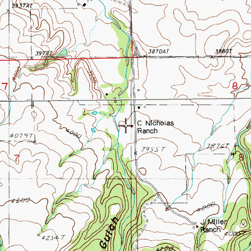 Topographic Map of C Nicholas Ranch, SD