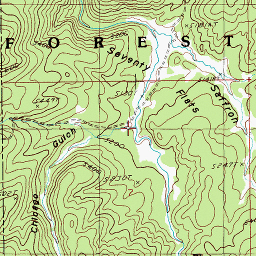 Topographic Map of Chicago Gulch, SD