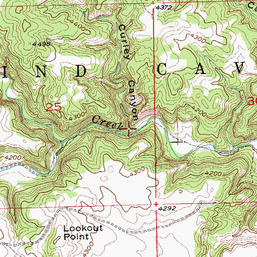 Topographic Map of Curley Canyon, SD