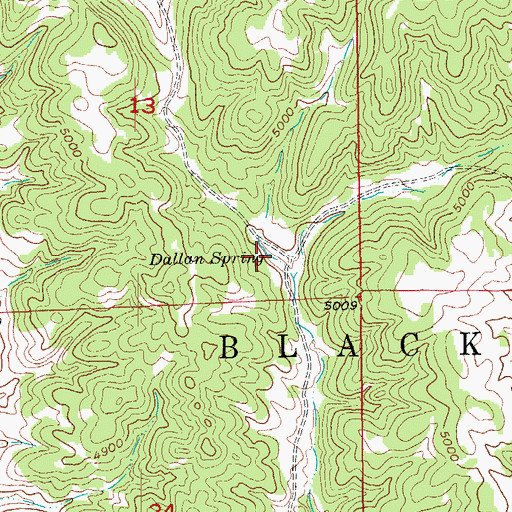 Topographic Map of Dallan Spring, SD