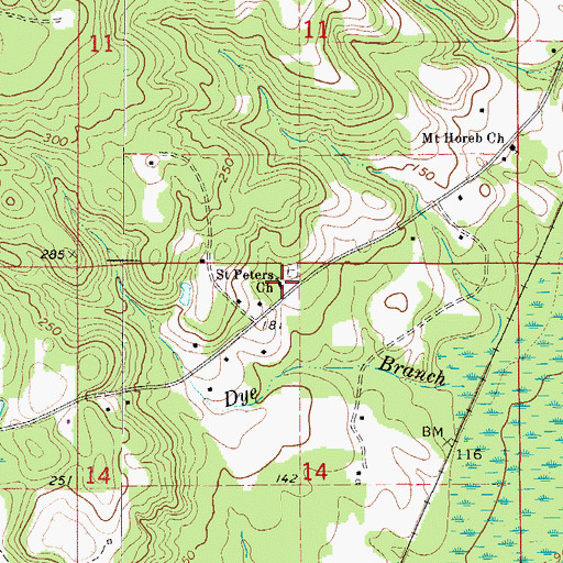 Topographic Map of Saint Peters Church, AL