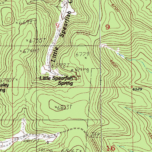 Topographic Map of Little Spearfish Spring, SD