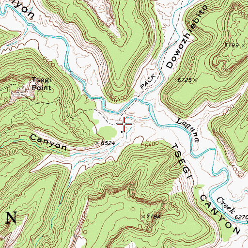 Topographic Map of Betatakin Canyon, AZ