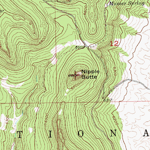 Topographic Map of Nipple Butte, SD