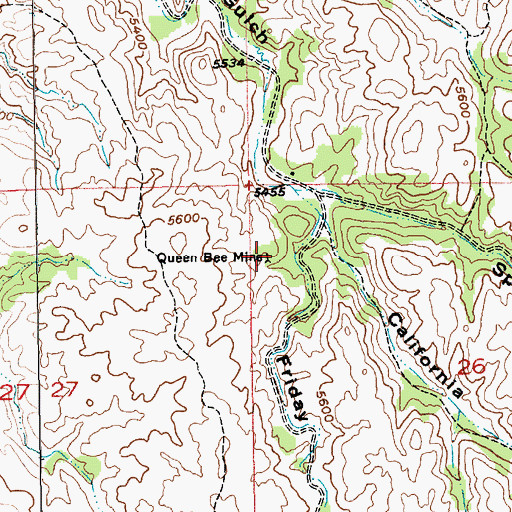 Topographic Map of Queen Bee Mine, SD