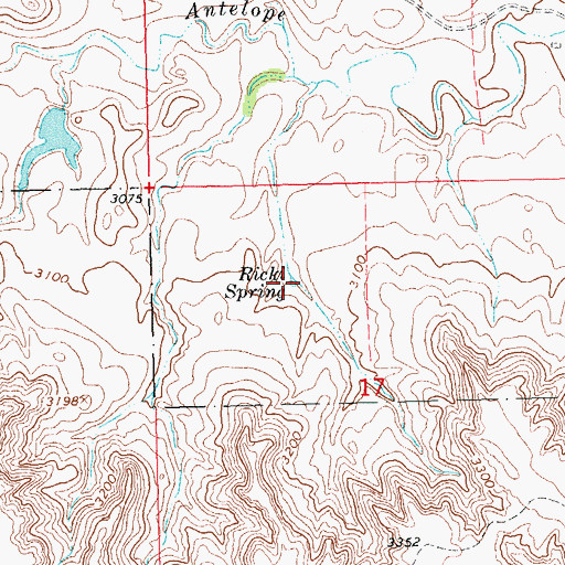 Topographic Map of Ricki Spring, SD