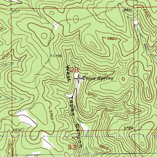 Topographic Map of Tepee Spring, SD