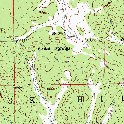 Topographic Map of Vestal Springs, SD