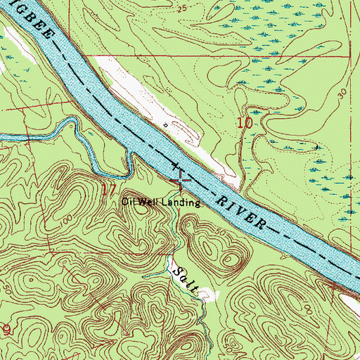 Topographic Map of Salt Creek, AL