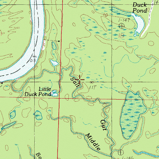 Topographic Map of Salt Gut, AL