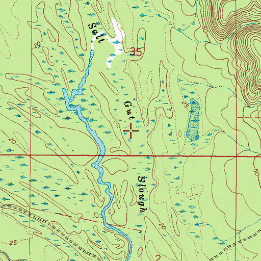 Topographic Map of Salt Gut Slough, AL