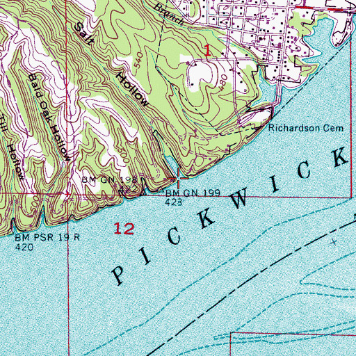 Topographic Map of Salt Hollow, AL