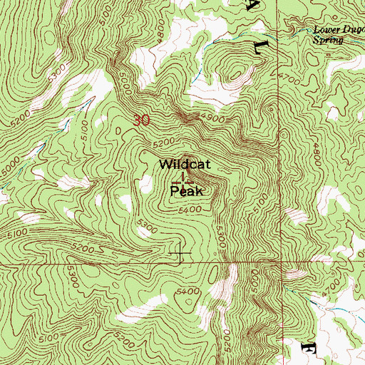 Topographic Map of Wildcat Peak, SD