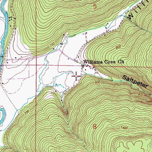 Topographic Map of Saltpeter Cove, AL