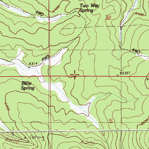 Topographic Map of Billie Spring, SD