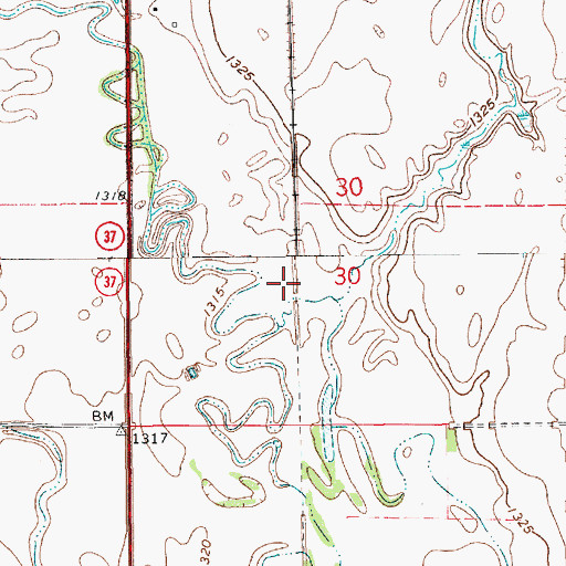 Topographic Map of Rodee Grove, SD