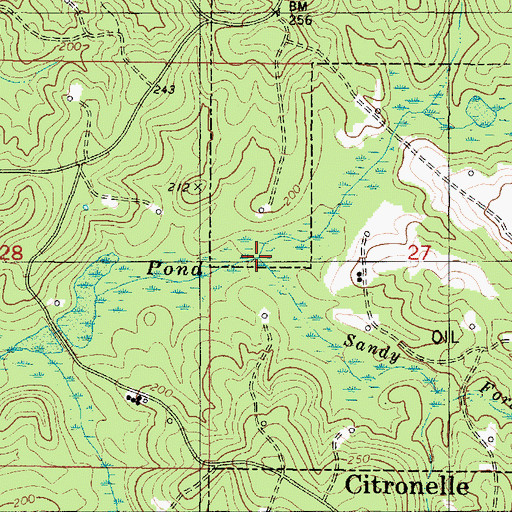 Topographic Map of Sandy Ford Branch, AL