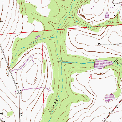 Topographic Map of Sasser Branch, AL