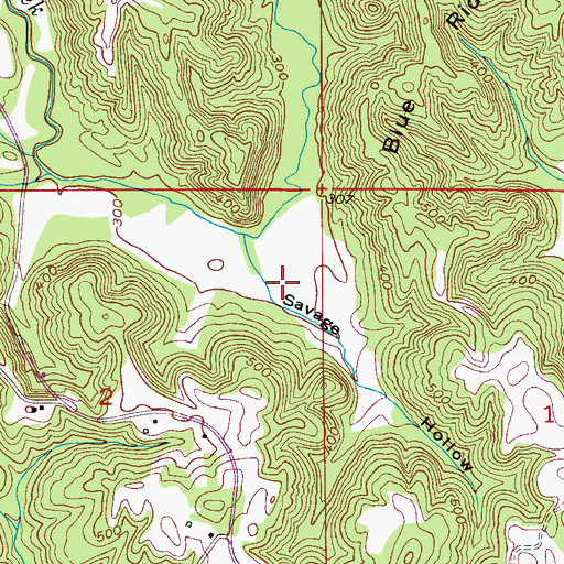 Topographic Map of Savage Hollow, AL