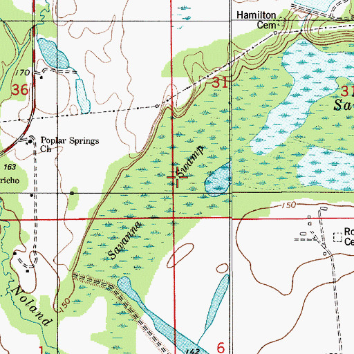 Topographic Map of Savanna Swamp, AL