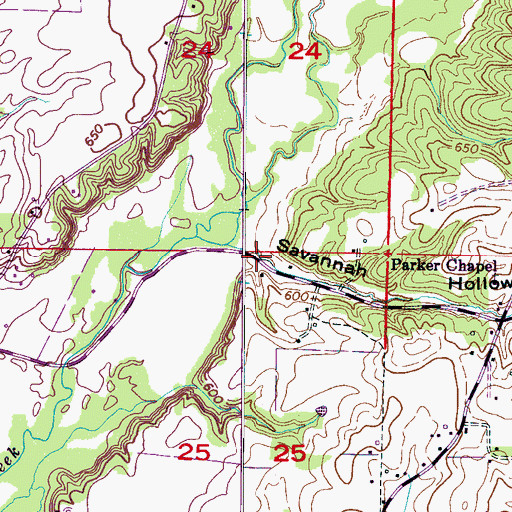Topographic Map of Savannah Hollow, AL