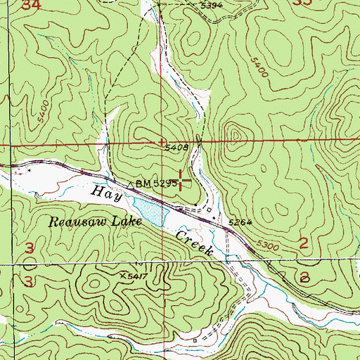 Topographic Map of Reausew (historical), SD