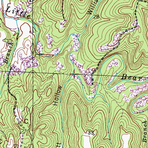 Topographic Map of Scott Hollow, AL