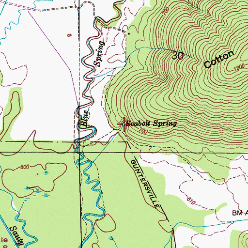 Topographic Map of Seabolt Spring, AL