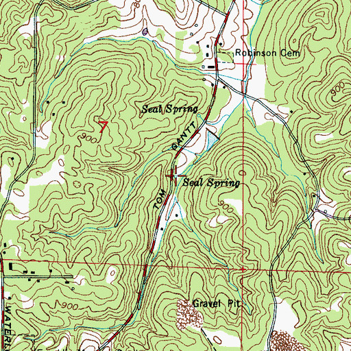 Topographic Map of Seal Spring, AL