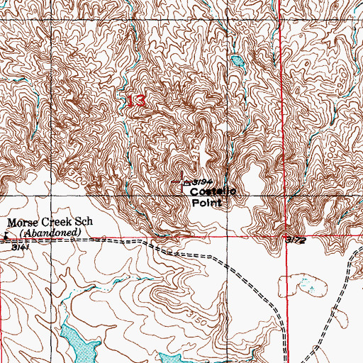 Topographic Map of Costello Point, SD