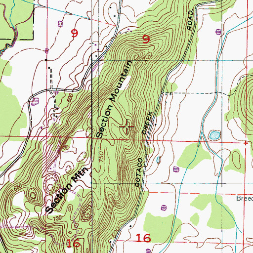 Topographic Map of Section Mountain, AL