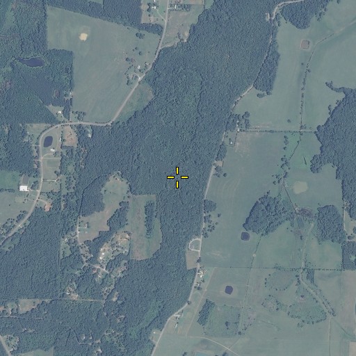 Aerial/Satellite Image of Section Mountain, AL