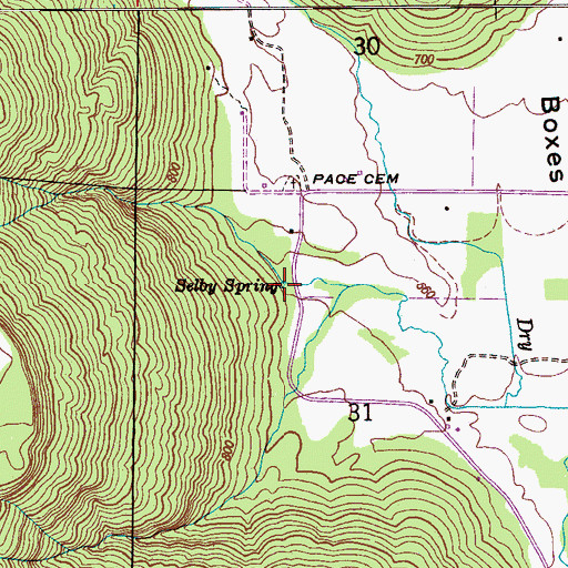 Topographic Map of Selby Spring, AL