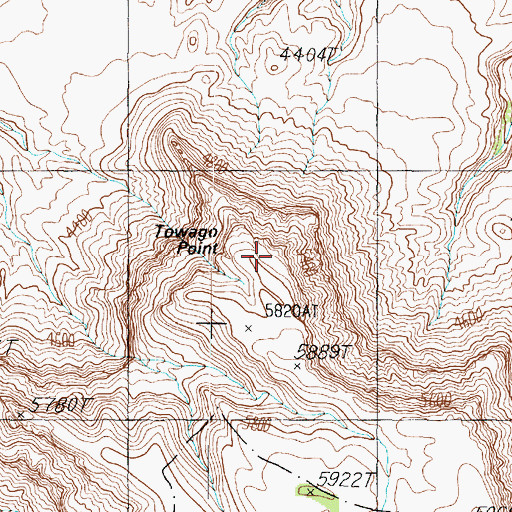 Topographic Map of Towago Point, AZ