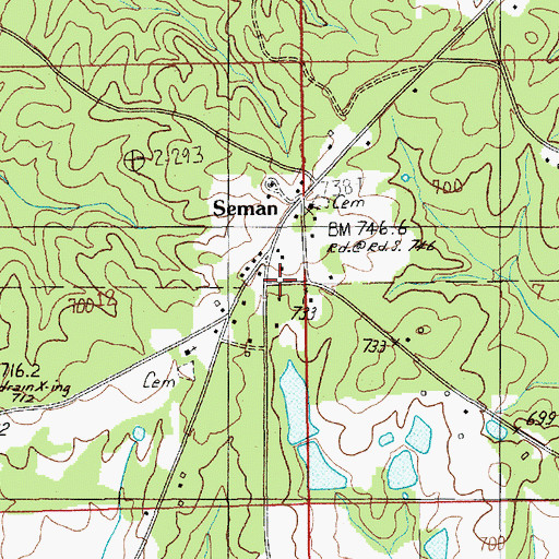 Topographic Map of Seman, AL