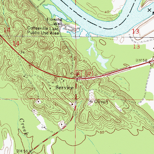 Topographic Map of Service, AL
